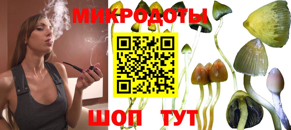 Псилоцибиновые грибы GOLDEN TEACHER Ишимбай